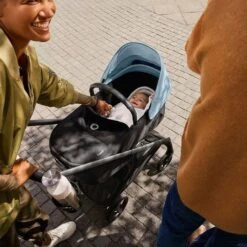 Bugaboo Dragonfly With Seat And Bassinet Complete Stroller -Anbbaby Shop Bugaboo Dragonfly with Seat and Bassinet Complete Stroller 14