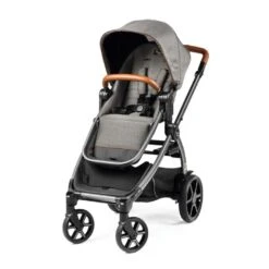 Peg Perego Agio Z4 Reversible Stroller