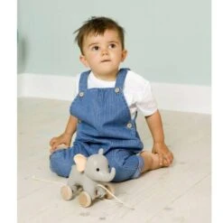 Little Big Friends Vincent The Elephant Pull Along -Anbbaby Shop little big friends vincent the elephant pull alonglbf303525anb babyanb baby 440877