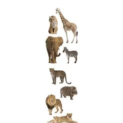 Mrs Grossman's Strip Of Photoessence Of Wild Animals Stickers