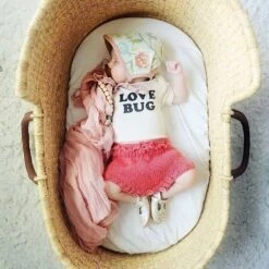 Tenth & Pine Love Bug Organic Cotton Onesie -Anbbaby Shop tenth pine love bug organic cotton onesietpssolvb03anb babyanb baby 360821